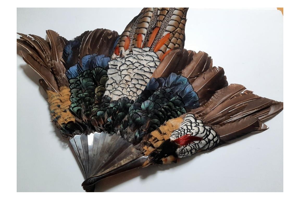 Pheasant, fan circa 1910-20