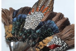Pheasant, fan circa 1910-20