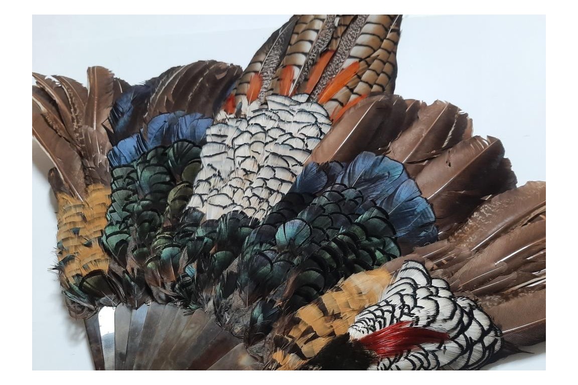 Pheasant, fan circa 1910-20