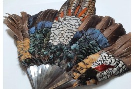 Pheasant, fan circa 1910-20