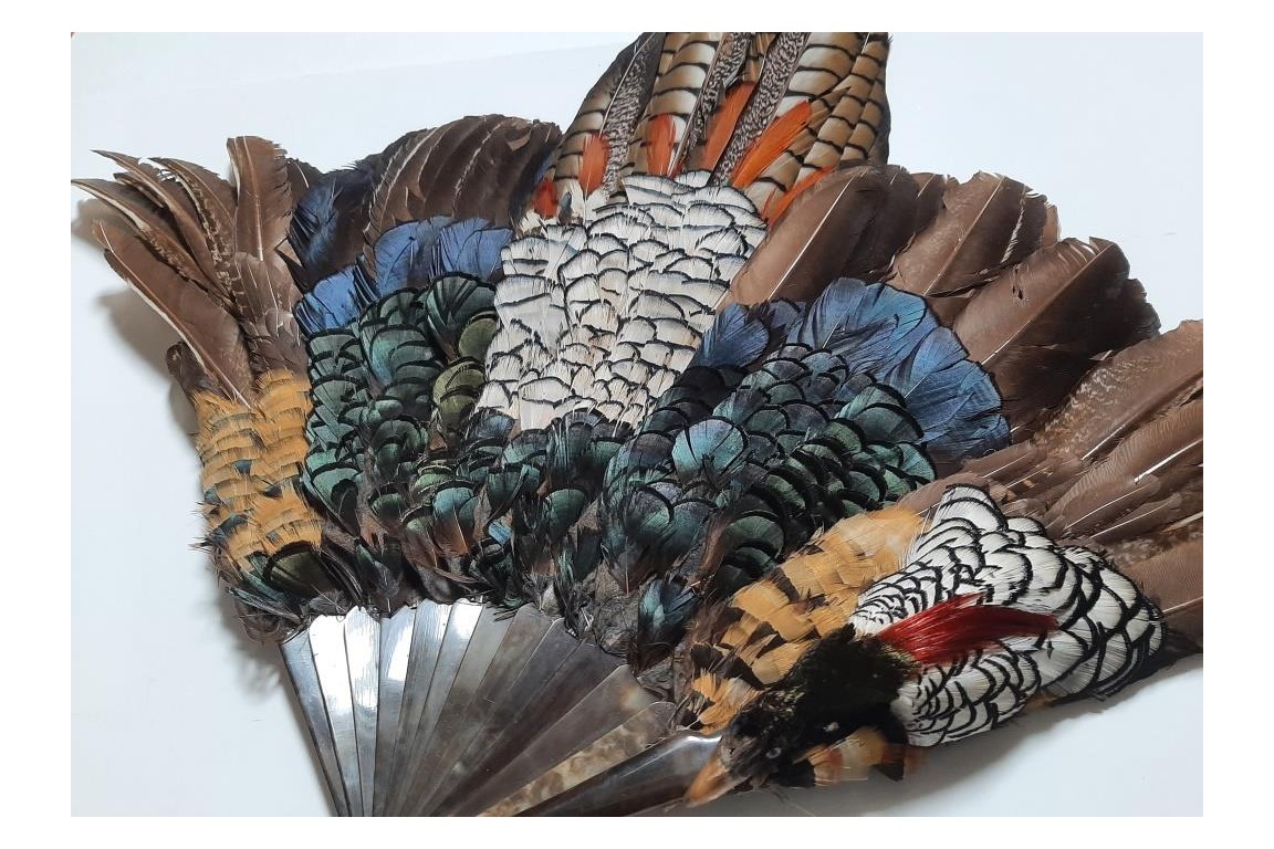 Pheasant, fan circa 1910-20