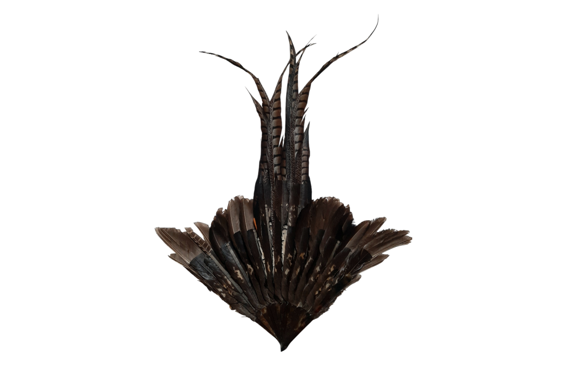 Pheasant, fan circa 1910-20