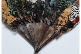 Pheasant, fan circa 1910-20