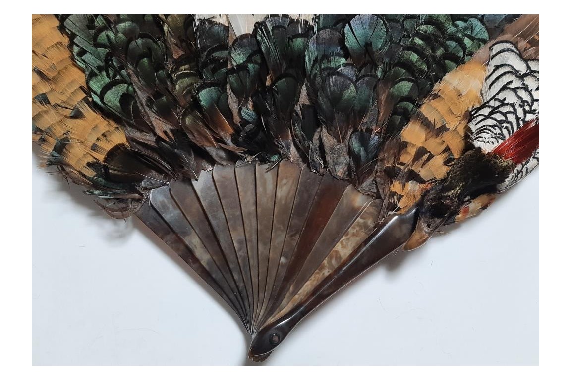 Pheasant, fan circa 1910-20