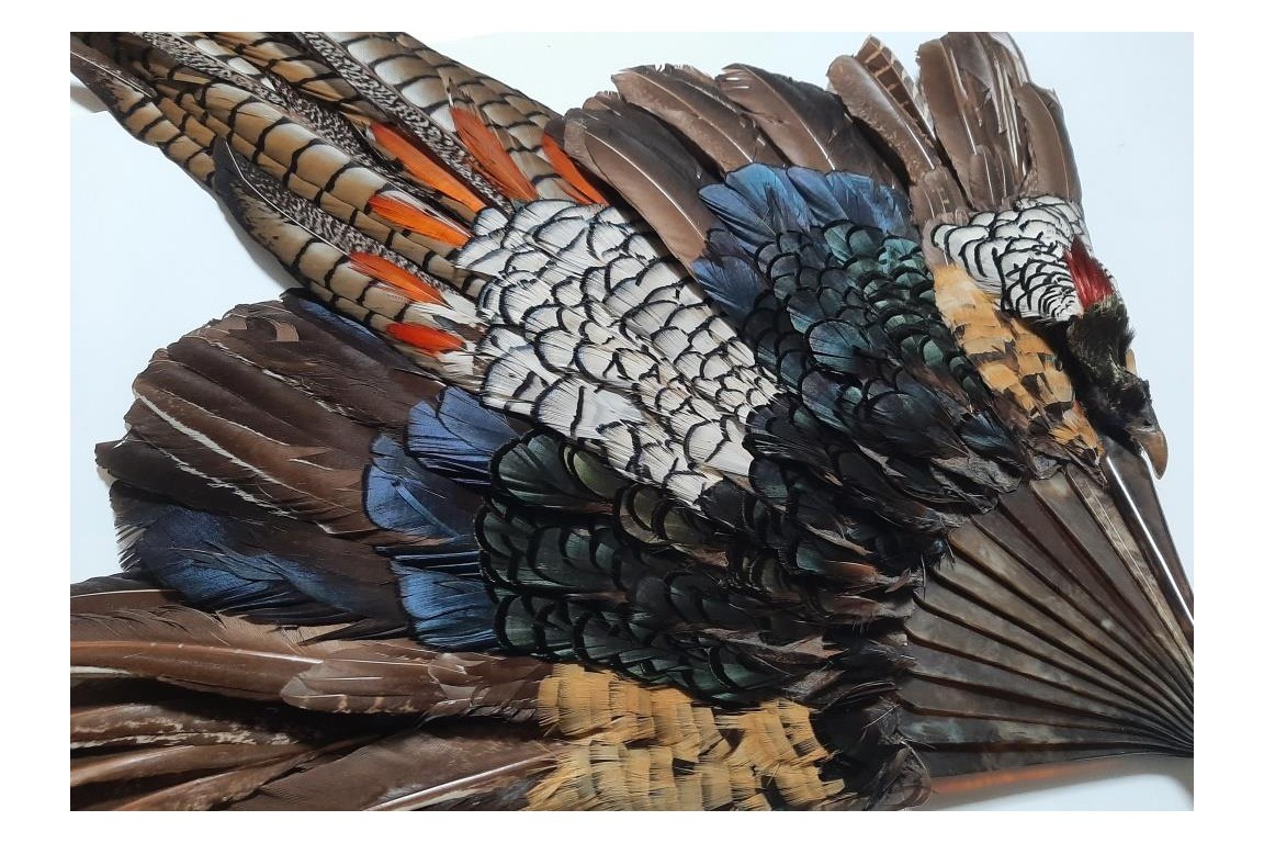 Pheasant, fan circa 1910-20