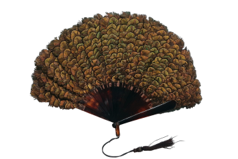 Little peacock, fan circa 1900