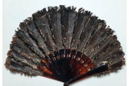 Petit paon, éventail vers 1900