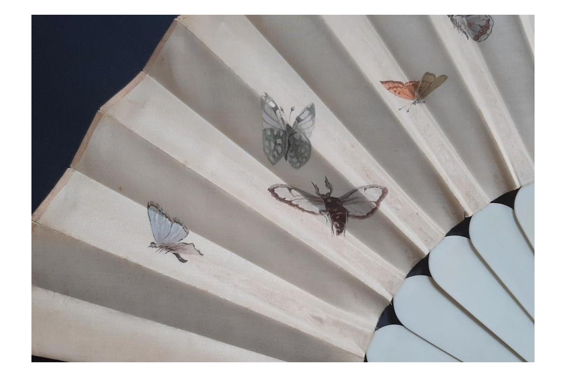 Fleurs et papillons, éventail vers 1860-70