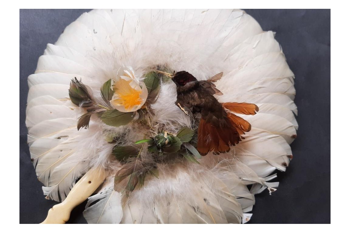 Brazilian hummingbird, feather fixed fan circa 1870-80