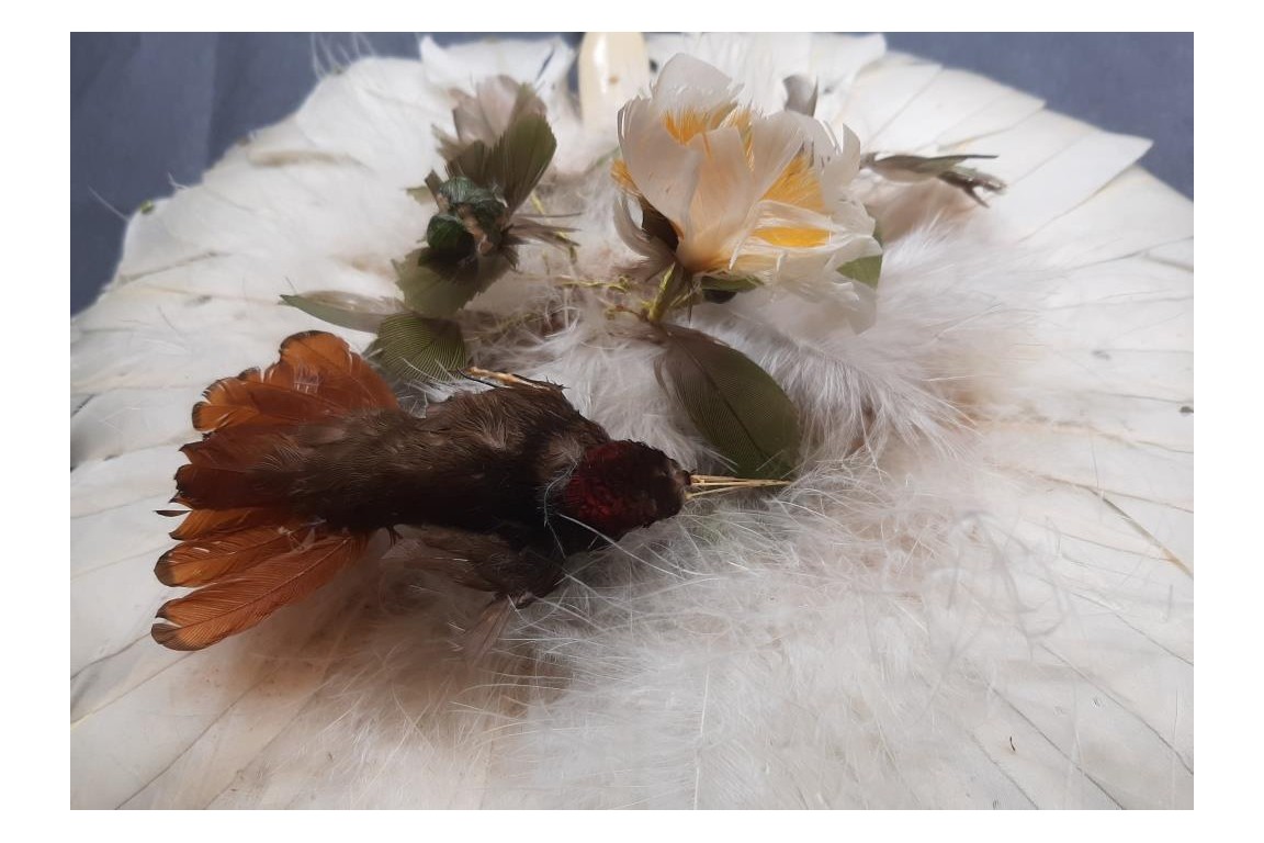 Brazilian hummingbird, feather fixed fan circa 1870-80