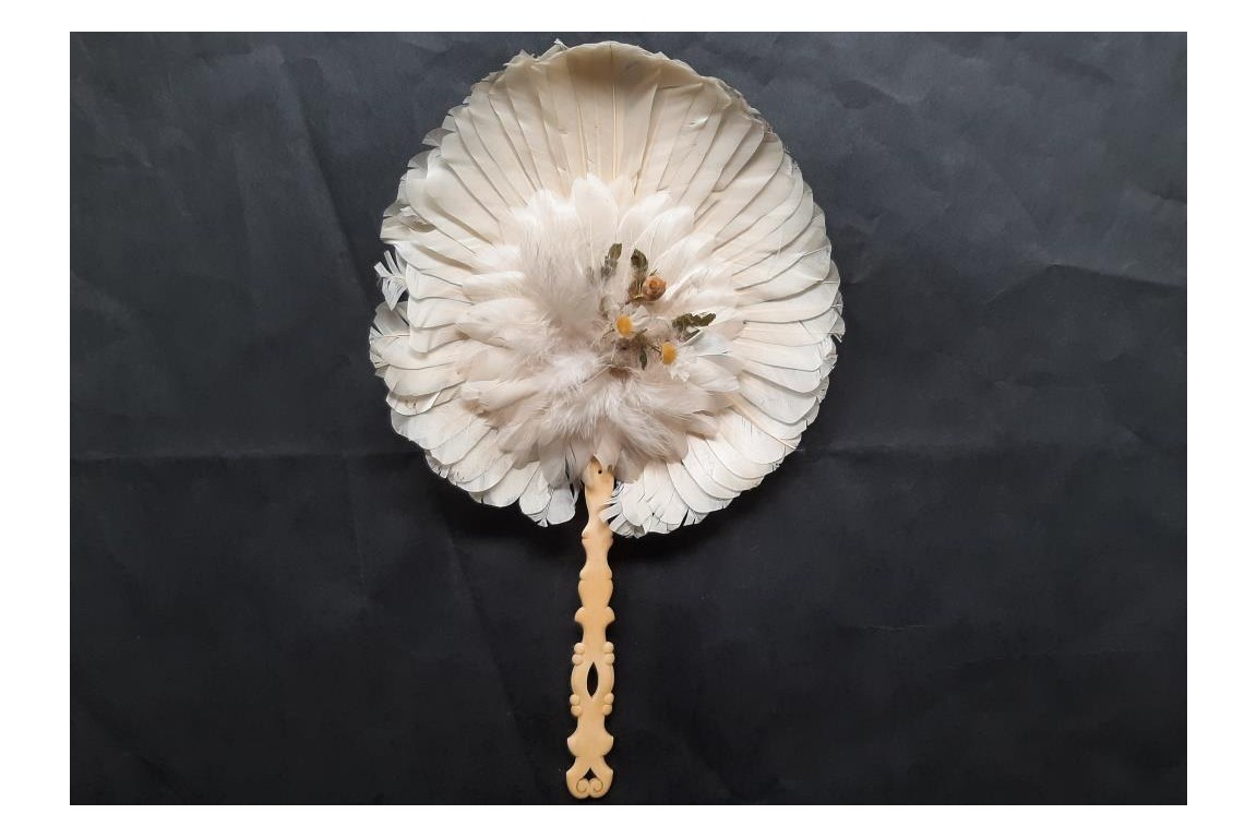 Brazilian hummingbird, feather fixed fan circa 1870-80