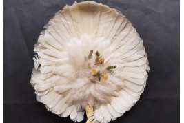 Brazilian hummingbird, feather fixed fan circa 1870-80