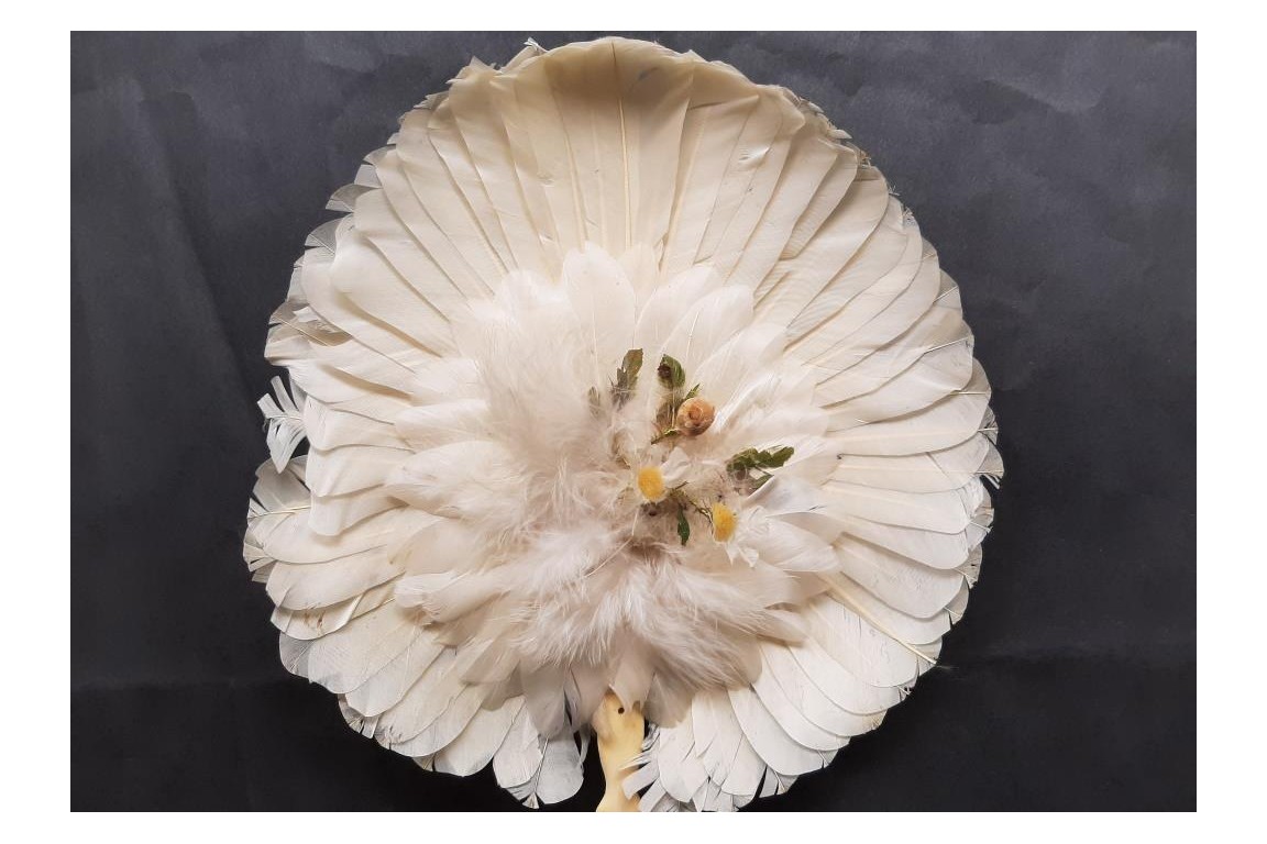 Brazilian hummingbird, feather fixed fan circa 1870-80