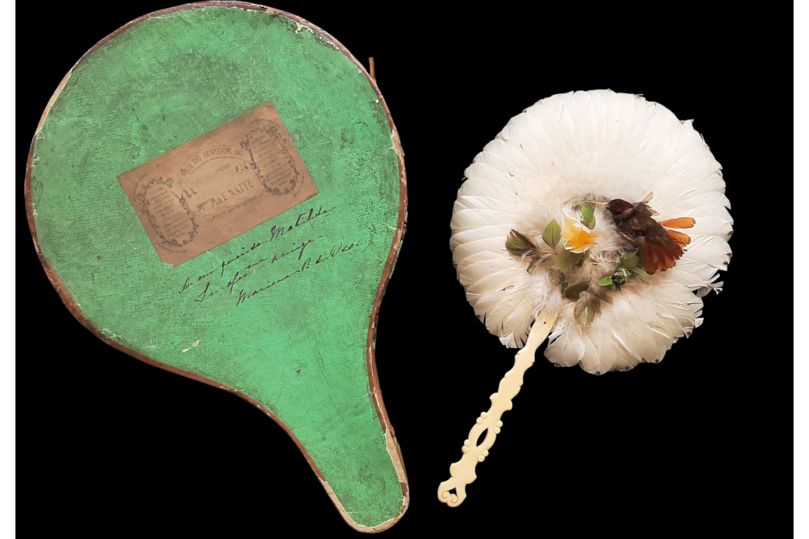 Brazilian hummingbird, feather fixed fan circa 1870-80