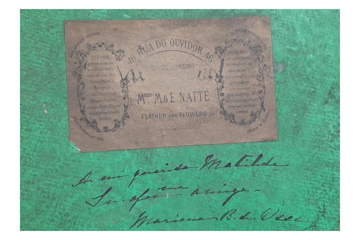Colibri du Brésil, écran en plumes vers 1870-80