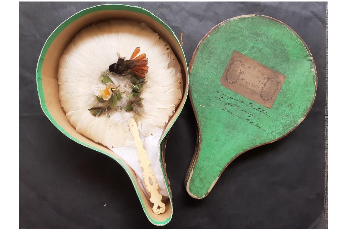 Brazilian hummingbird, feather fixed fan circa 1870-80