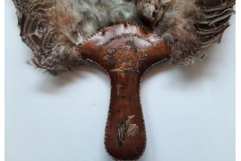 Écran-oiseaux, Amérique du nord, début XXeme siècle