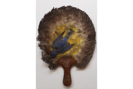 Écran-oiseaux, Amérique du nord, début XXeme siècle