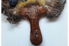 Écran-oiseaux, Amérique du nord, début XXeme siècle