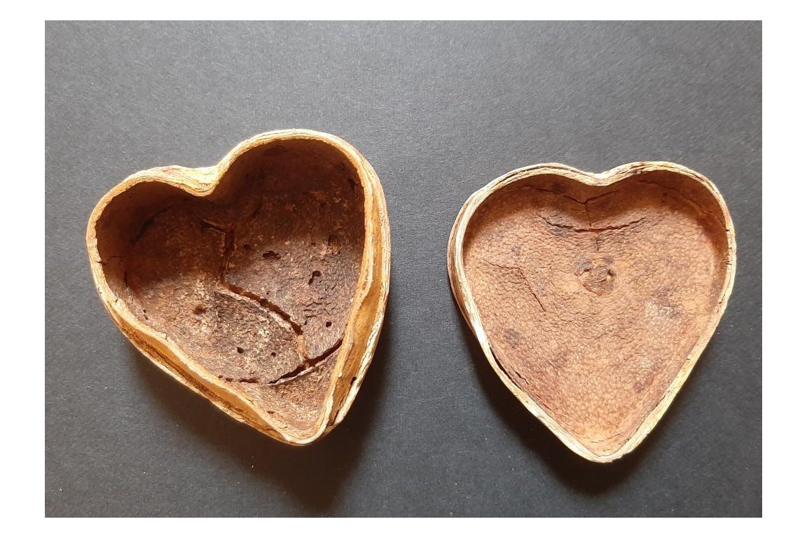 Les coeurs en bergamote, présents d'amour, XVIIIème siècle