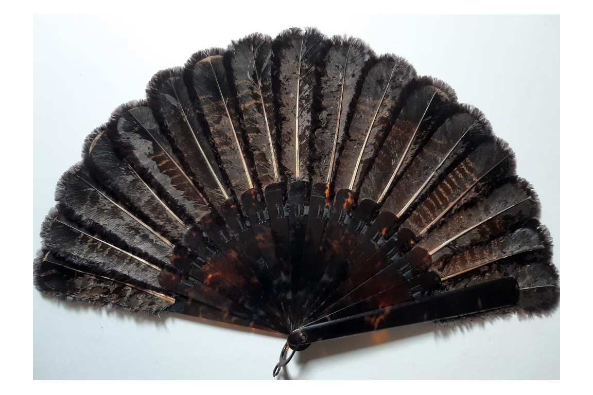 Les fillettes, éventail en plumes, vers 1900