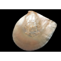 Coat of arms of Beauvais.  19th century mother-of-pearl shell