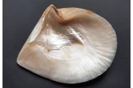 Coat of arms of Beauvais.  Mother-of-pearl shell after 1920