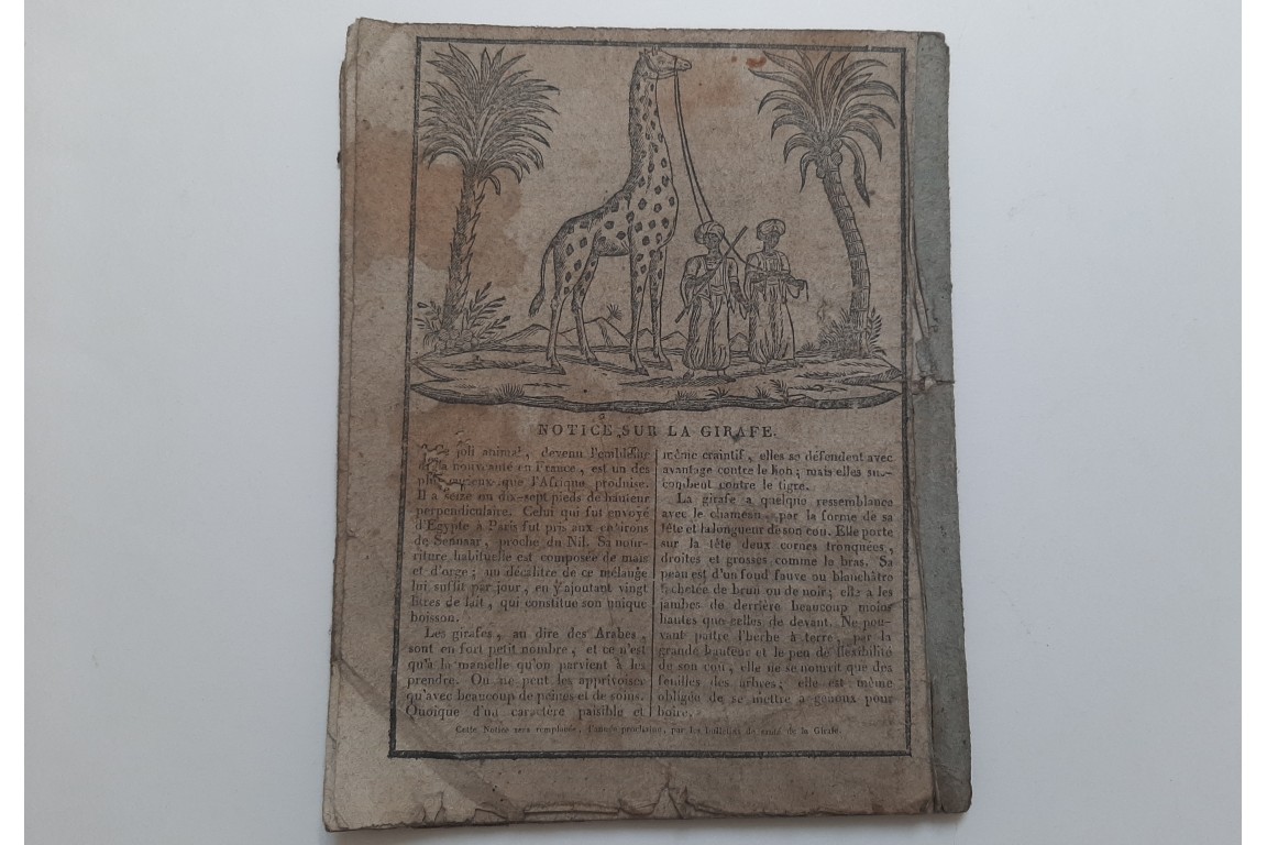 Almanac à la Giraffe, 1829