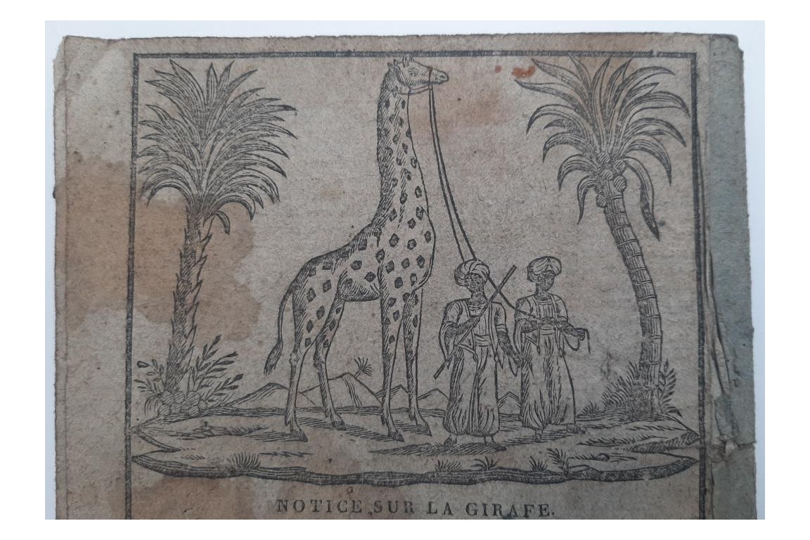 Almanac à la Giraffe, 1829