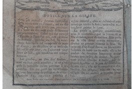 Almanac à la Giraffe, 1829