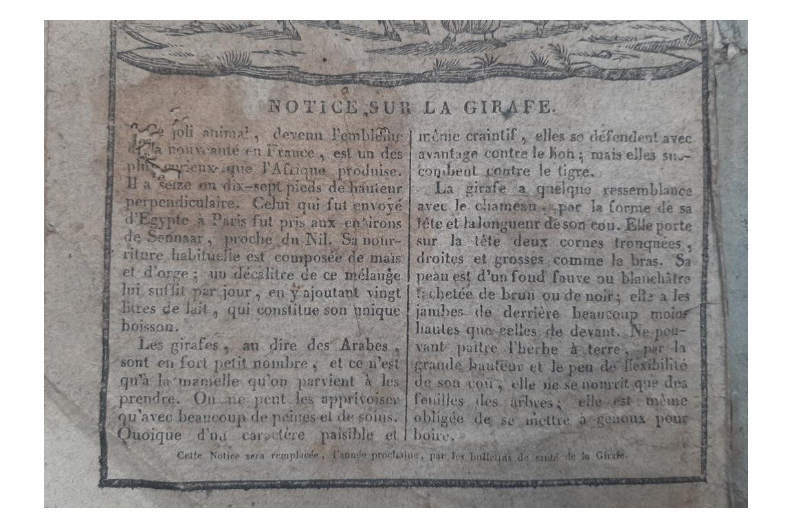 Almanac à la Giraffe, 1829