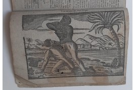 Almanac à la Giraffe, 1829