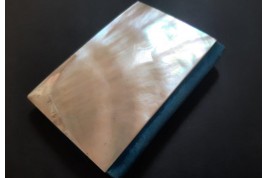 Paul and Virginie, 19th century card holder