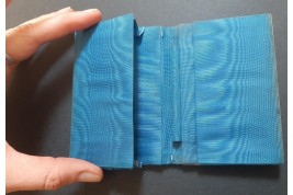 Paul and Virginie, 19th century card holder