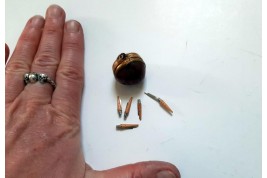 Surprise hazelnut, Nontron cutlery, 19th-20th century