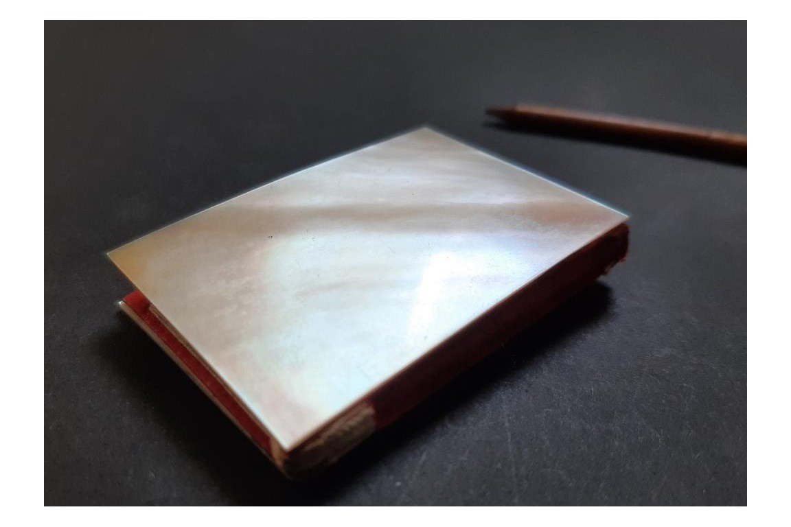 Dance card with mirror, 19th century