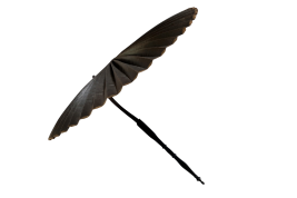Fan- parasol, Second Empire period