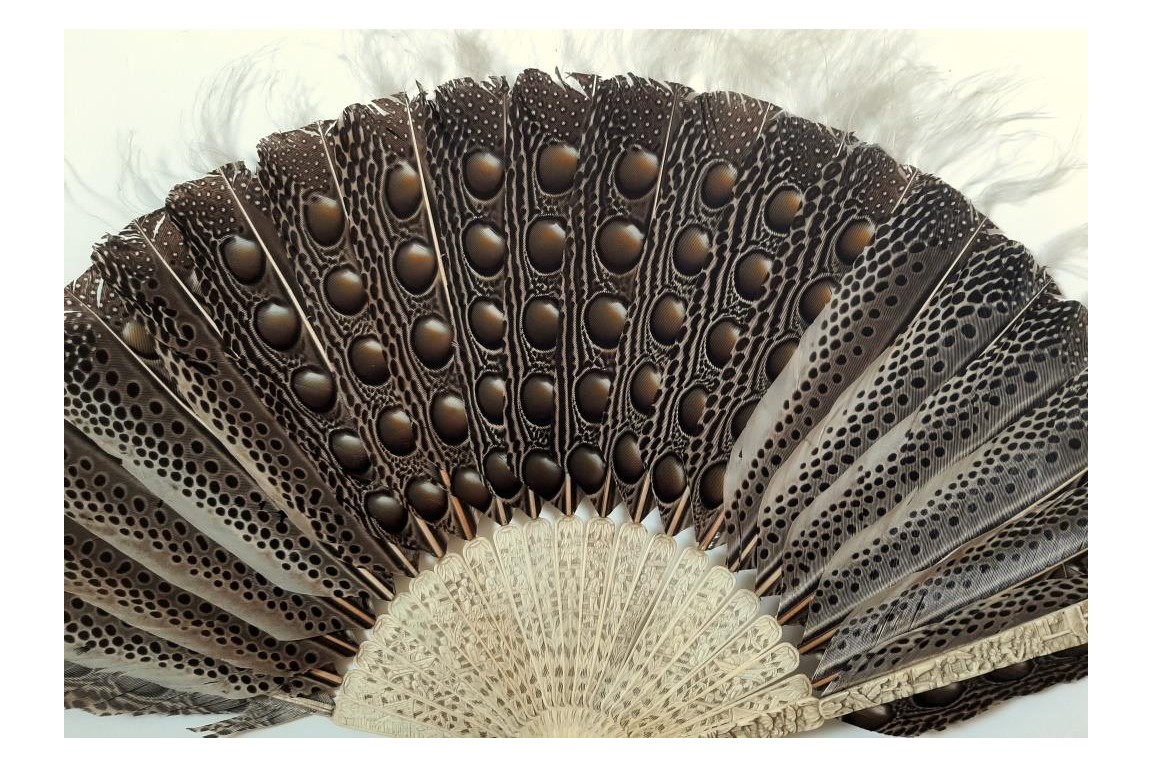 Argus, feather fan, China circa 1850