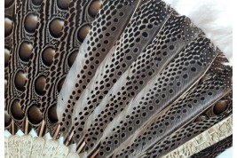 Argus, feather fan, China circa 1850