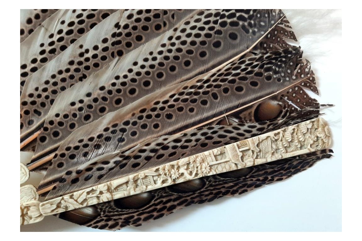 Argus, feather fan, China circa 1850