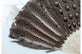 Argus, feather fan, China circa 1850
