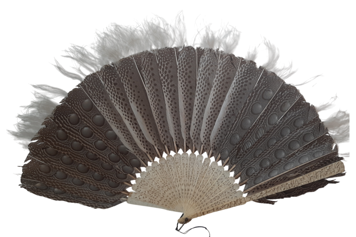 Argus, feather fan, China circa 1850