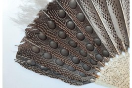 Argus, feather fan, China circa 1850