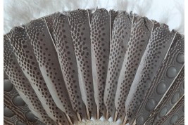 Argus, feather fan, China circa 1850
