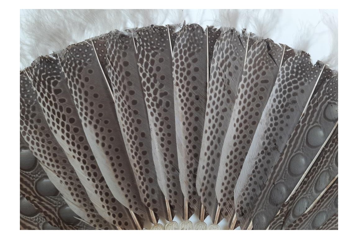 Argus, feather fan, China circa 1850