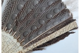 Argus, feather fan, China circa 1850