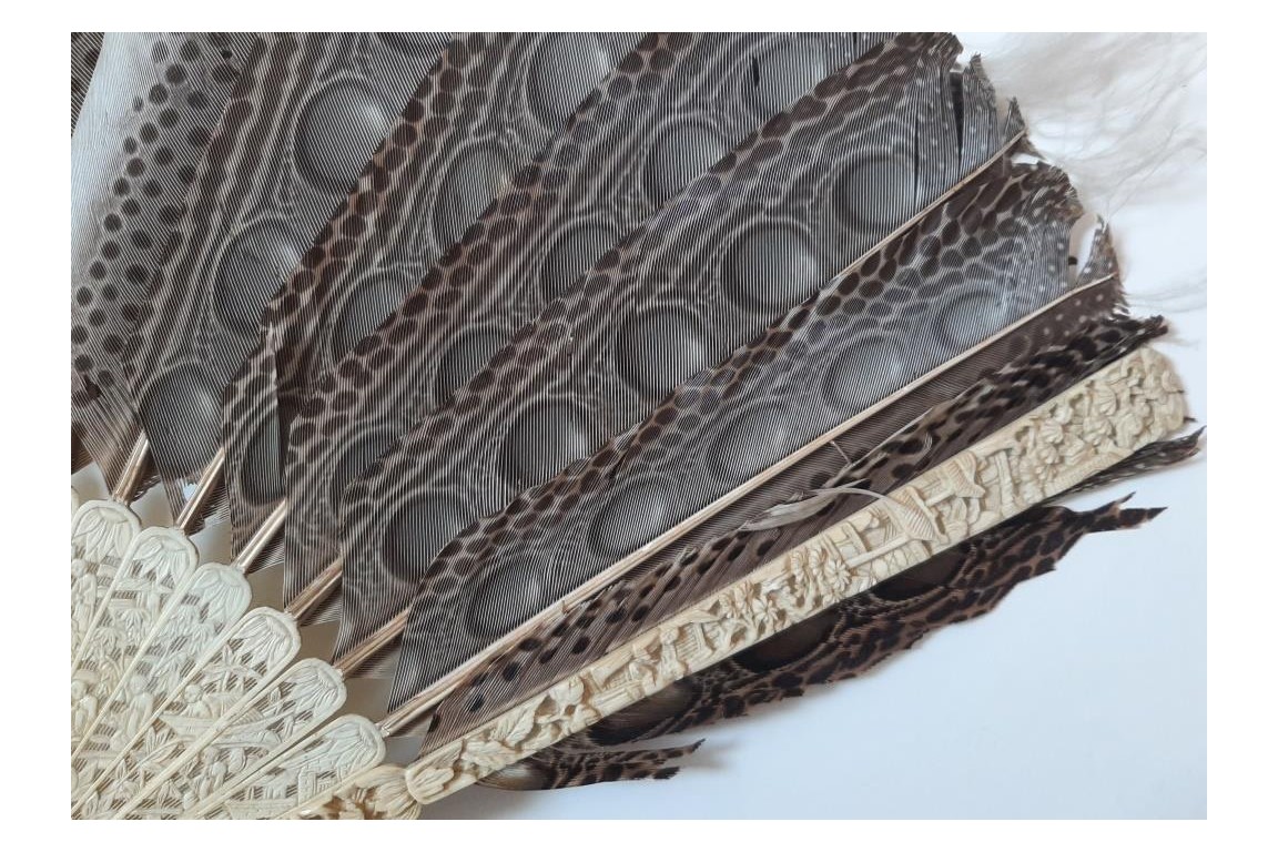 Argus, feather fan, China circa 1850