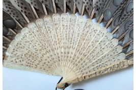 Argus, feather fan, China circa 1850