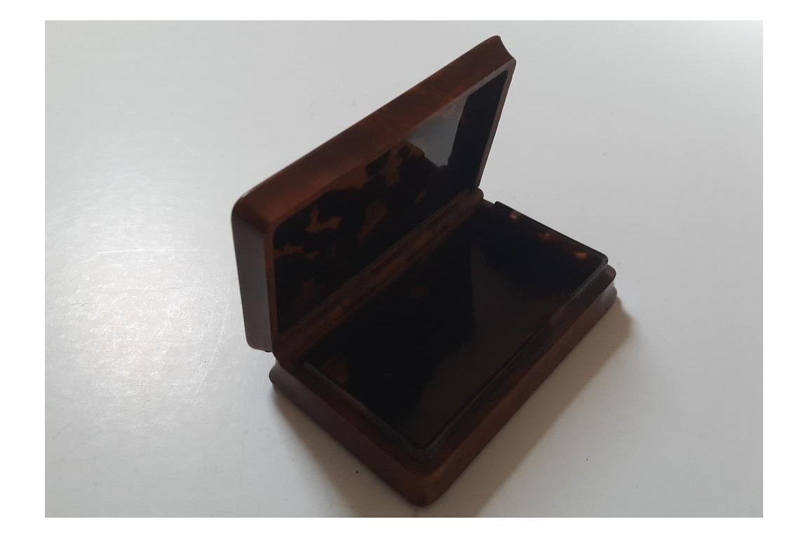 Grey landscape, 19th cetury snuffbox