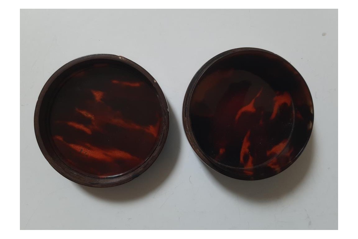 Beauty with fern, 18 or 19th century snuffbox Beauty with fern, 18 or 19th century snuffbox